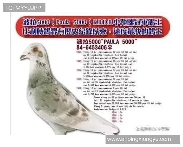 足坛巨星名字背后的故事与传奇生涯全景解读 足坛巨星名字背后的故事与传奇生涯全景解读